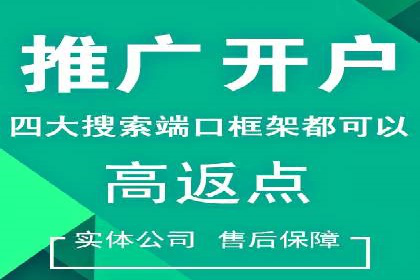 百度竞价广告投放数据分析